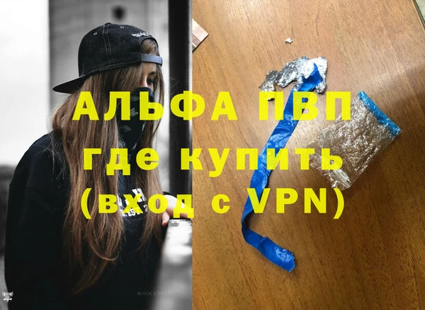 твердый Кирсанов