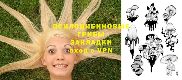 дурь Конаково