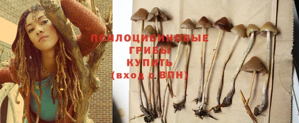 гашиш Няндома