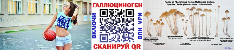 Галлюциногенные грибы Psilocybe  Костерёво 